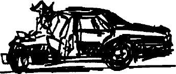 the Limo